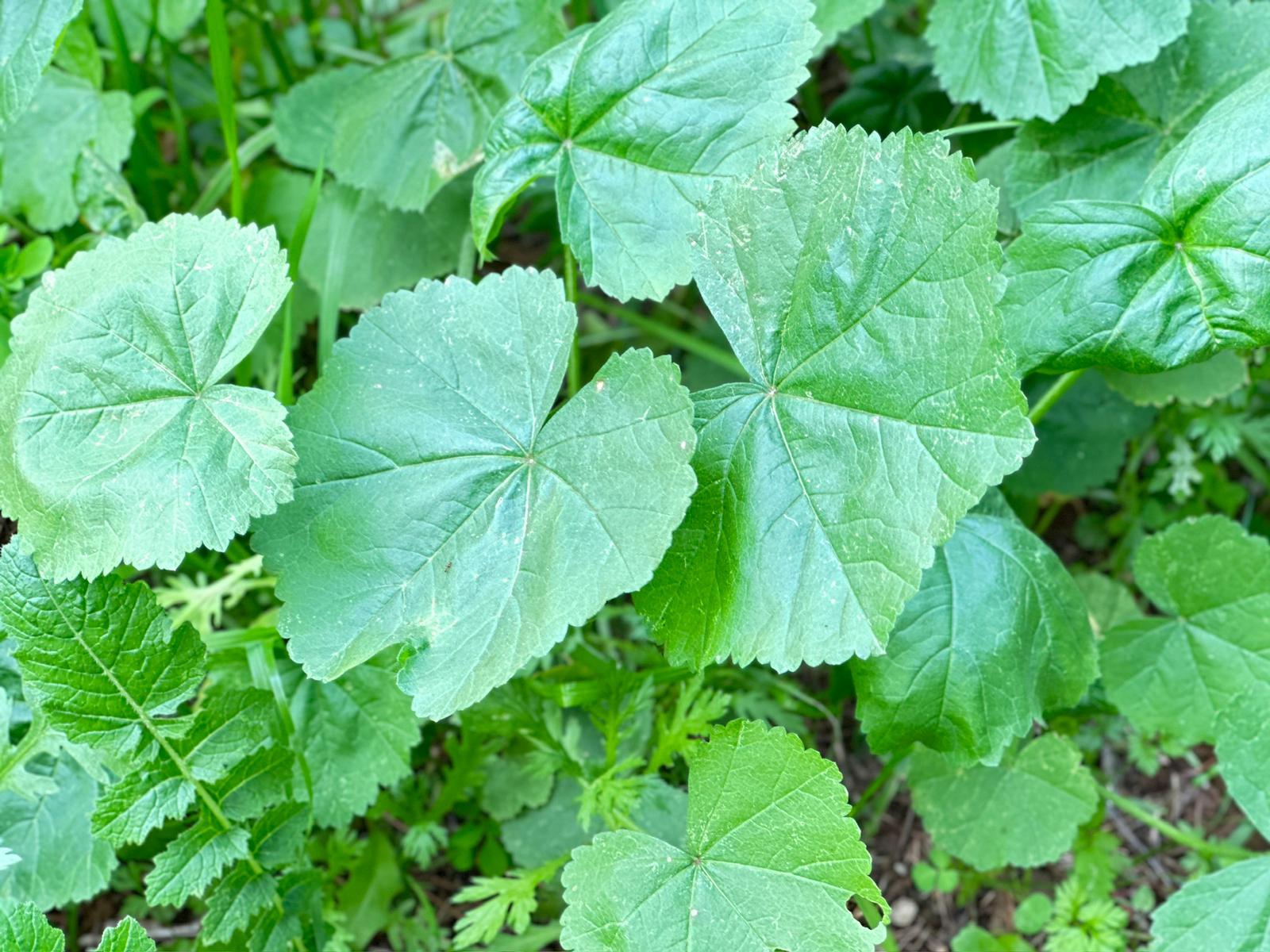 WhatsApp Image 2024-01-05 at 14.01.21 (2).jpeg